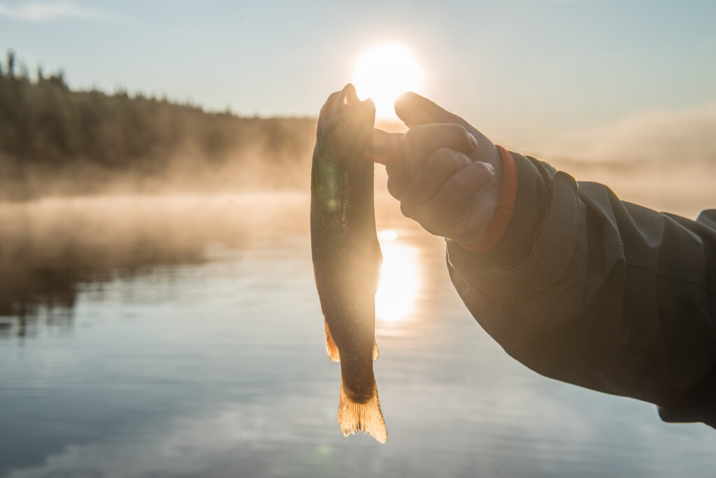 Pêche d'un poisson à la pourvoirie St-Zénon de Lanaudière